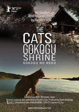 五香宫的猫电影